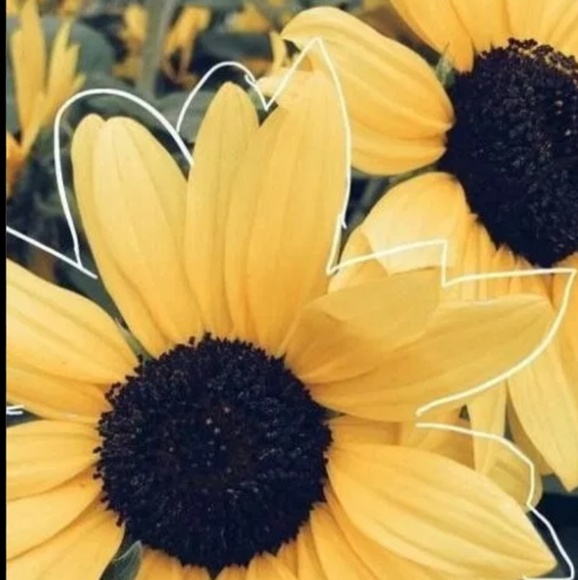 Meet your Posher, The - Picture 1 of 1